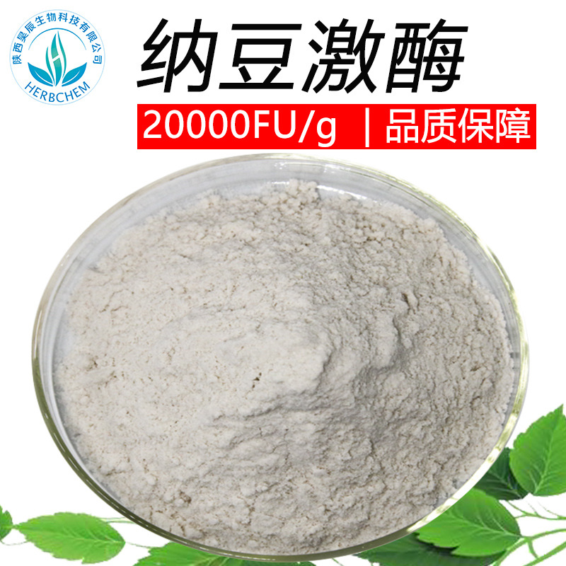 纳豆激酶纳豆激酶20000FU可定制纳豆激酶粉纳豆提取物100g/袋原料