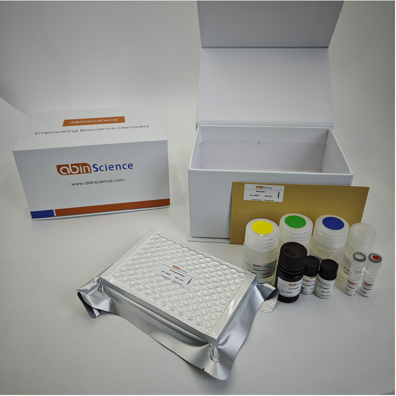 重组猫 Fel d 1B/链2 蛋白，N端GST标签 & C端His标签