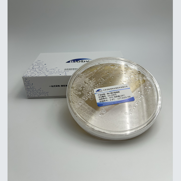 Methylobacterium Phyllosphaerae