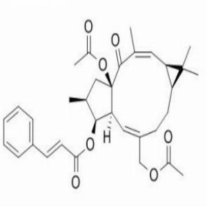 千金子素L7A，Euphorbia factor L7a，93550-94-8