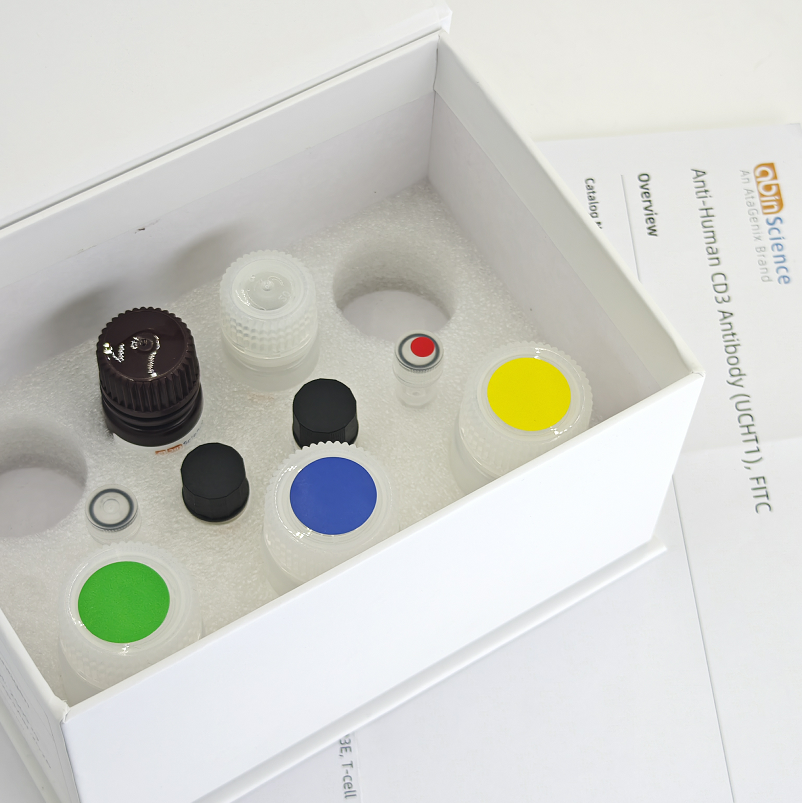 重组蜜蜂 Api m 4/蜂毒肽蛋白，N端-His-SUMO标签