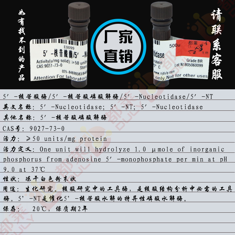 5′-核苷酸酶