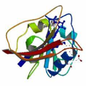Embonic Acid-OVA Conjugate，扑酸-鸡卵清白蛋白偶联物