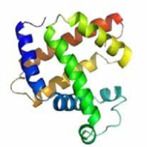 Ethacridine-BSA Conjugate，利凡诺-牛血清白蛋白偶联物