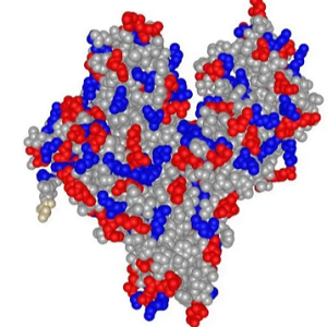 Flunixin-BSA Conjugate，氟尼辛-牛血清白蛋白偶联物