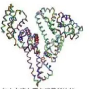 Amprolium-OVA Conjugate，氨丙啉-鸡卵清白蛋白偶联物