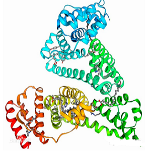 Amprolium-BSA Conjugate，氨丙啉-牛血清白蛋白偶联物