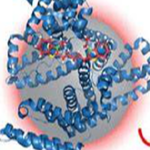 Captopril-BSA Conjugate，卡托普利-牛血清白蛋白偶联物