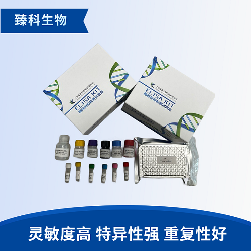 人鸟苷酸结合蛋白4(Gbp4）检测试剂盒（ELISA法）