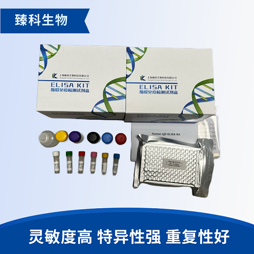 人葡萄糖激酶调节蛋白(GKRP）检测试剂盒（ELISA法）