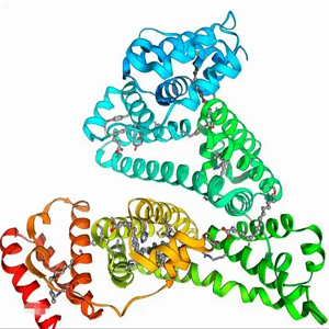 Amisulpride-BSA Conjugate，阿米舒必利-牛血清白蛋白偶联物