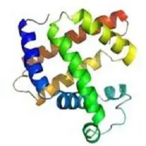 Adamantylamine-BSA Conjugate，金刚烷胺-牛血清白蛋白偶联物