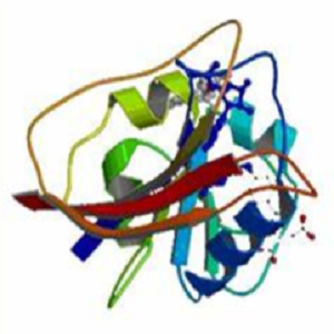 Valsartan-OVA Conjugate，缬沙坦-鸡卵清白蛋白偶联物
