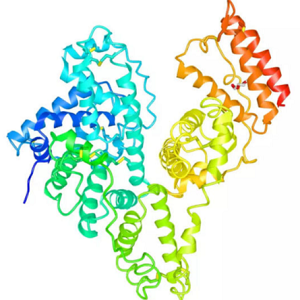 Telmisartan-BSA Conjugate，替米沙坦-牛血清白蛋白偶联物