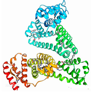 CPT-BSA，喜树碱-牛血清白蛋白偶联物