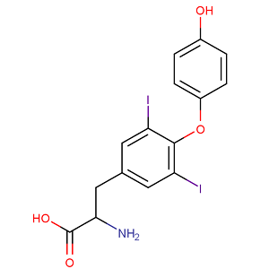 T2-HRP，二碘甲状腺原氨酸-过氧化物酶标记物