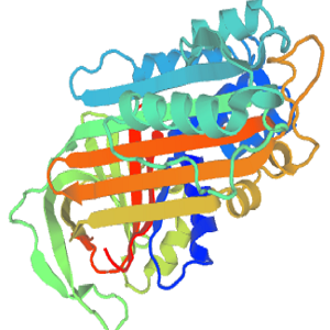 Scutellarin-OVA Conjugate，野黄芩苷-鸡卵清白蛋白偶联物