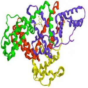 GCDCA-OVA，甘氨鹅去氧胆酸-鸡卵清白蛋白偶联物