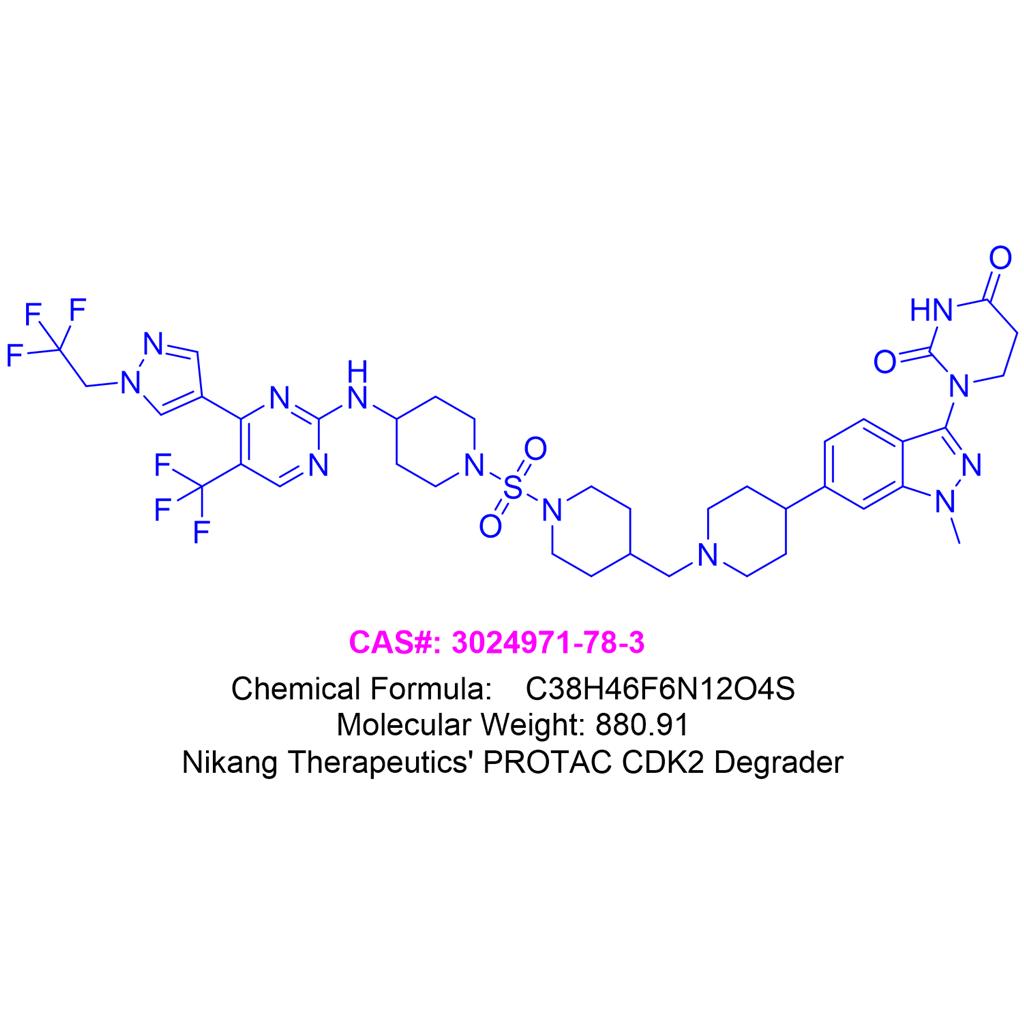 Nikang Therapeutics' CDK2 degrader 3024971-78-3