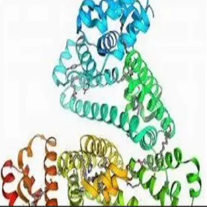 CDCA-OVA，鹅去氧胆酸-鸡卵清白蛋白偶联物
