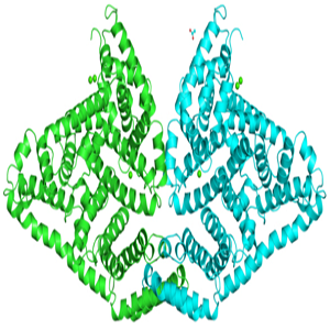 LCA-BSA，石胆酸-牛血清白蛋白偶联物