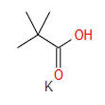 特戊酸钾 新戊酸钾 三甲基乙酸钾 19455-23-3 