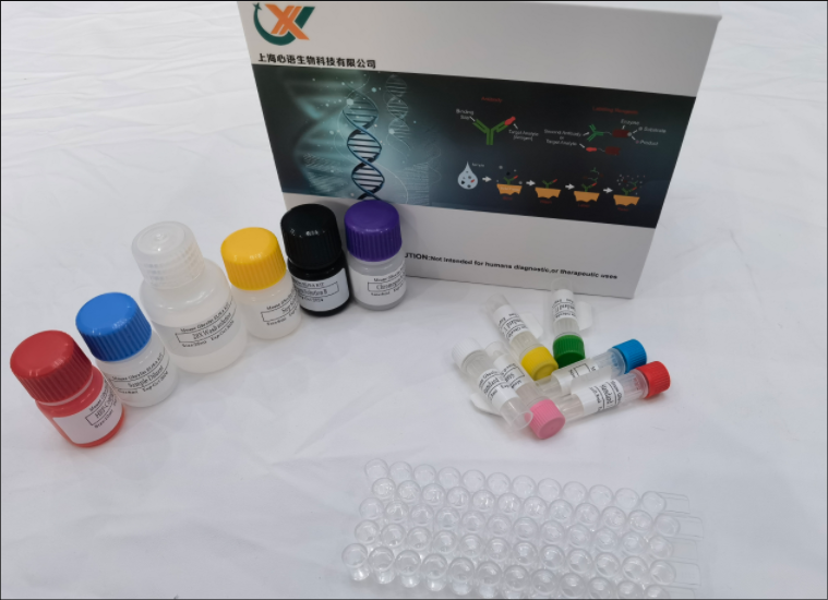兔粒细胞集落刺激因子（G-CSF）elisa试剂盒