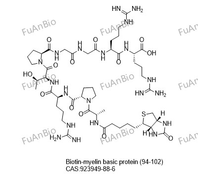 Biotin-myelin basic protein (94-102) 