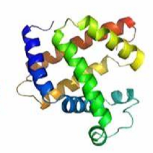 SDM-OVA，磺胺多辛-鸡卵清白蛋白偶联物