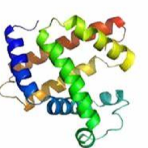 SDM-OVA，Sarafloxacin-Ovalbumin Conjugate，沙拉沙星-鸡卵清白蛋白偶联物