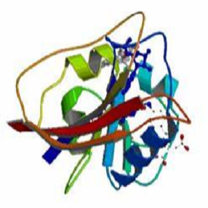Salvianolic Acid B-OVA Conjugate，丹酚酸B-鸡卵清白蛋白偶联物