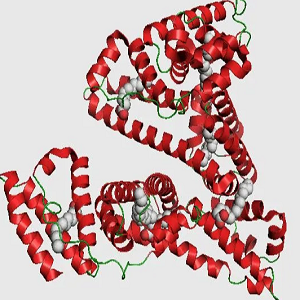 Rhein-BSA Conjugate，大黄酸-牛血清白蛋白偶联物