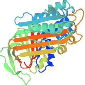 Ursolic Acid-OVA Conjugate，熊果酸-鸡卵清白蛋白偶联物，UA-OVA
