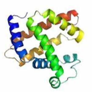 Glycyrrhizic Acid-BSA Conjugate，甘草酸-牛血清白蛋白偶联物