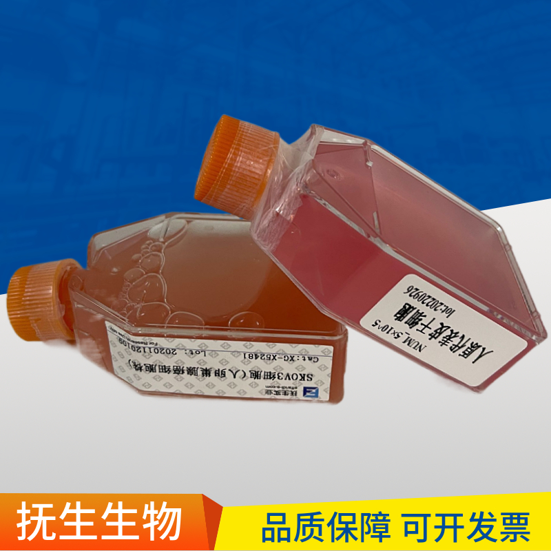 VERO E6非洲绿猴肾细胞