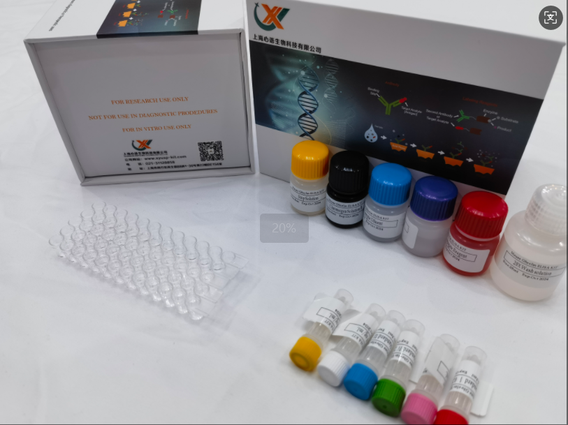 兔氧化低密度脂蛋白（OxLDL）elisa试剂盒