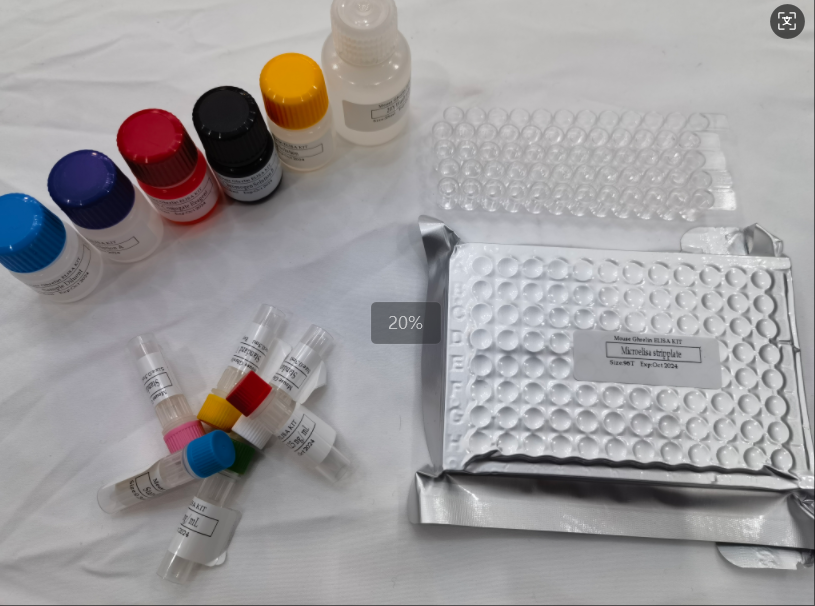 兔氧化低密度脂蛋白（OxLDL）elisa试剂盒