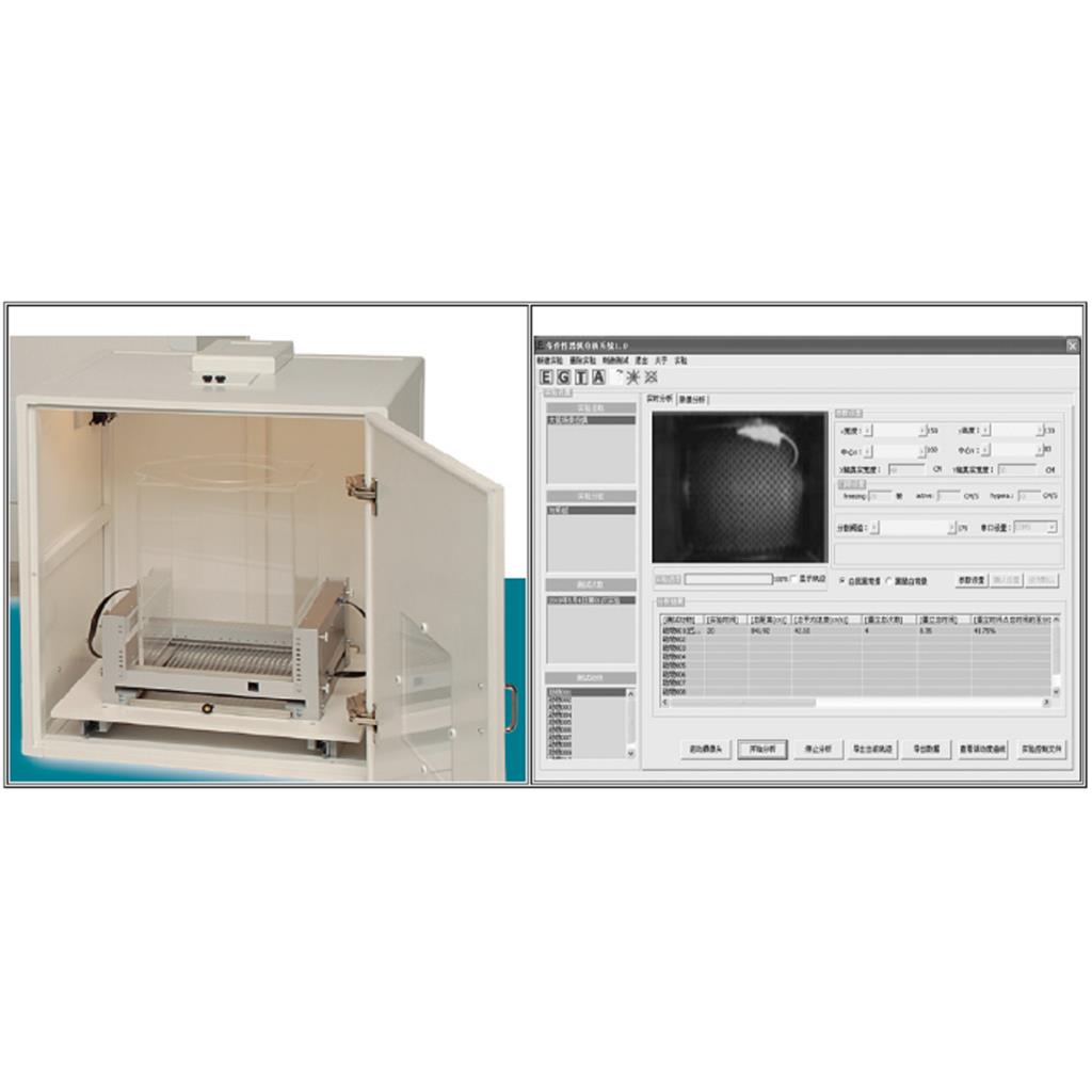 条件恐惧实验系统|cc|场景恐惧实验分析系统