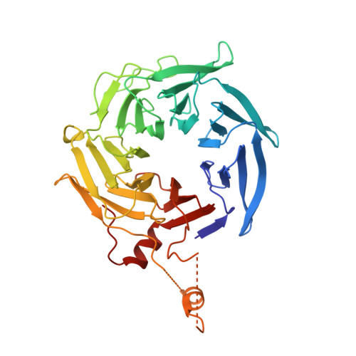 重组人ARPC1B蛋白