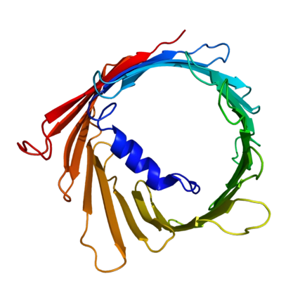 重组人VDAC1蛋白