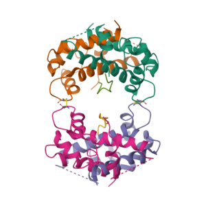 重组人AHNAK蛋白