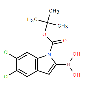 1-Boc-5,6-二氯-1H-吲哚-2-硼酸