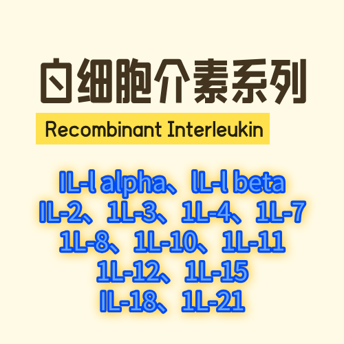 白介素Interleukin
