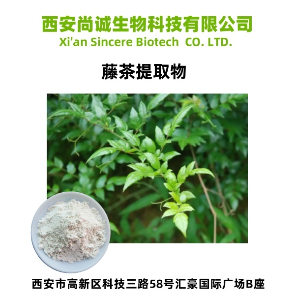 藤茶提取物 二氢杨梅素 尚诚生物