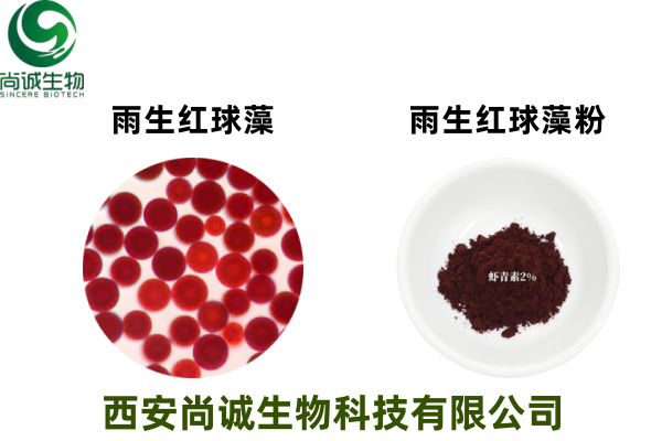 破壁雨生红球藻粉 天然虾青素 虾青素微囊粉