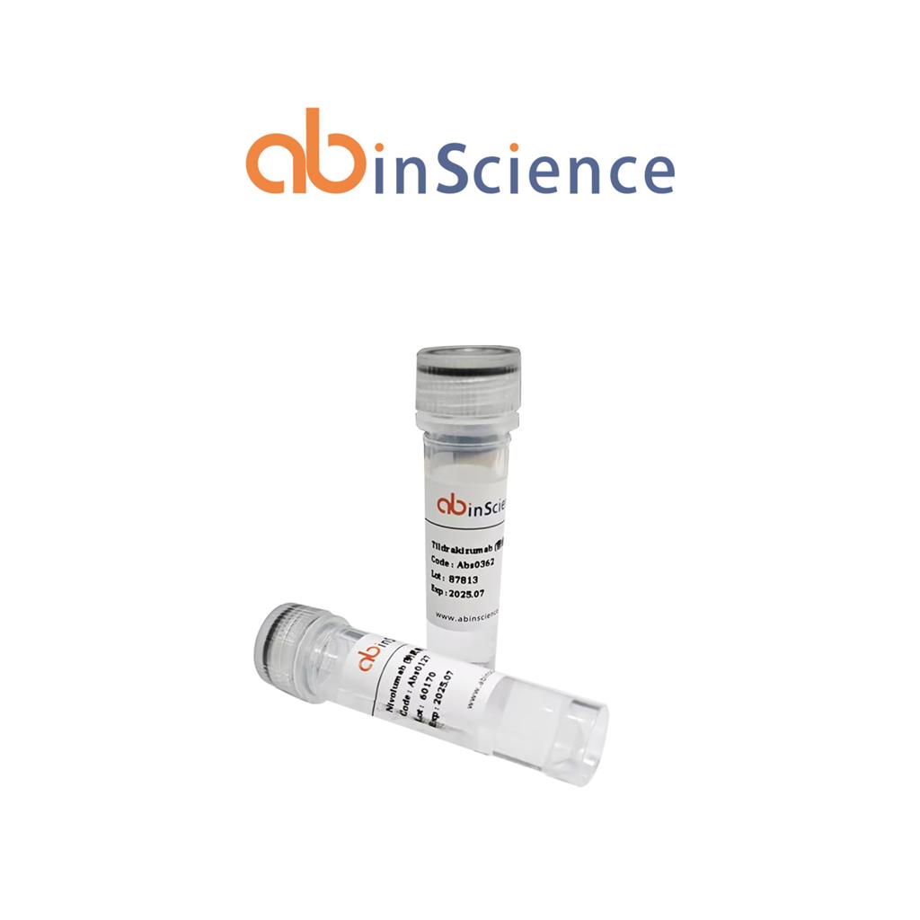 重组黄热病蚊Aed a 2/AeD7L1蛋白，C端-His标签