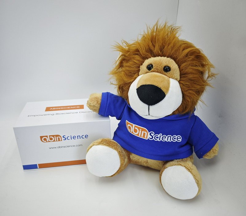 重组梯牧草Phl p 5.0102/PHLPVa/过敏原Phl p Va蛋白，N端-His标签