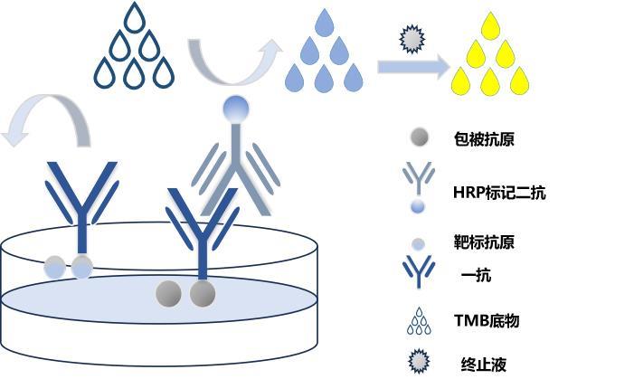 图片3.jpg 图片3.jpg