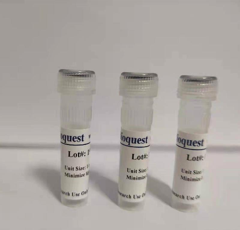 钙离子荧光探针Fura-FF, AM