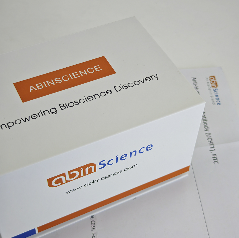 重组花生过敏原Ara h 2/伴花生球蛋白-7蛋白，N端-Trx-His标签。